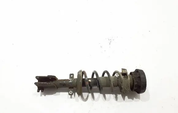 Opel Vivaro Front shock absorber/damper 543023941R