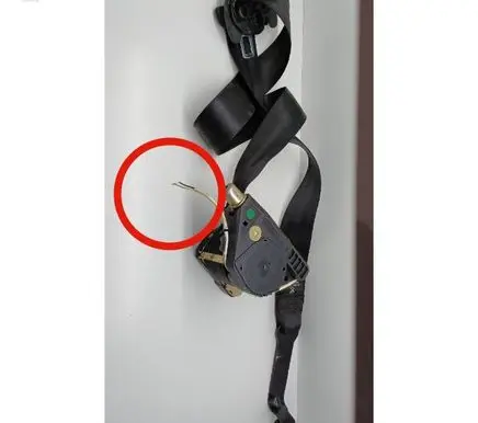 Volkswagen Touran I Front seatbelt 1T0857706B 33039606