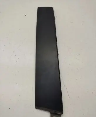 Chrysler 300 - 300C Rear door trim (molding)