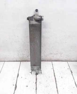 Nissan X-Trail T31 Intercooler radiator P3578003
