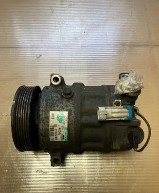 Opel Antara Air conditioning (A/C) compressor (pump) P13232305 R134A 006078119B4