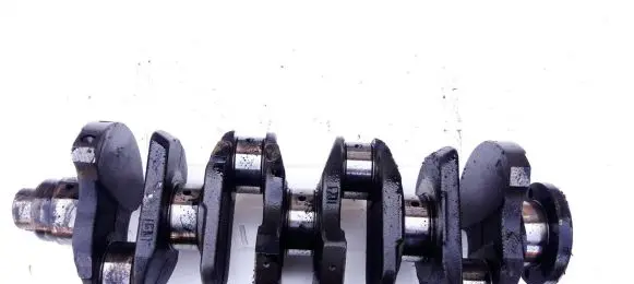 Renault Express Crankshaft 