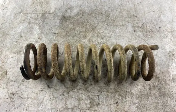 Rear coil spring