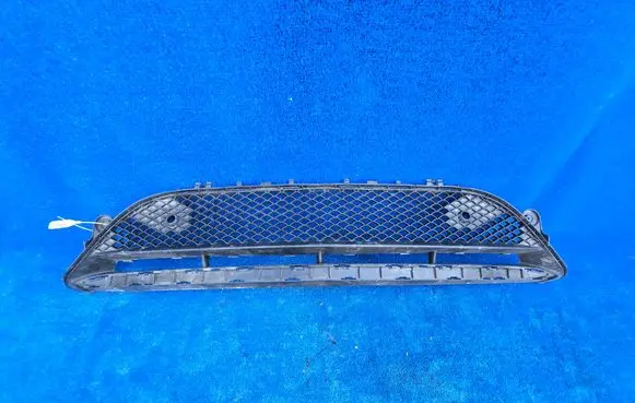 Mercedes-Benz E W213 Front bumper lower grill A2138856900