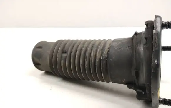 Coil spring mount