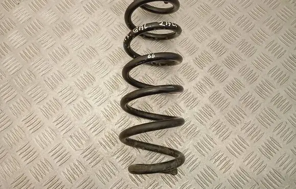 Lexus NX Rear coil spring 4823178250