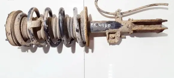 BMW X5 E53 Front shock absorber/damper 31316764599