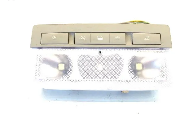 Opel Zafira C Headlining lighting console trim 316627975