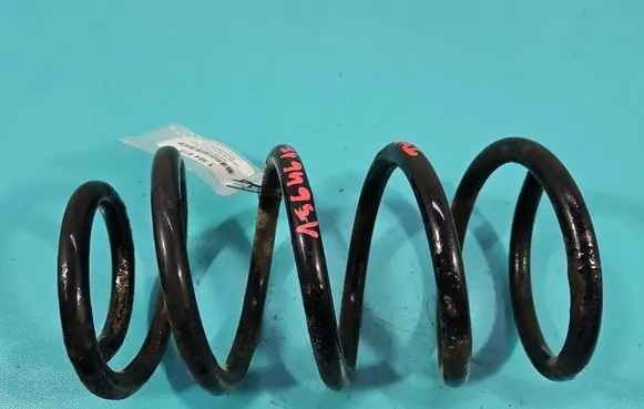 Hyundai Santa Fe Rear coil spring IMPRK1564615
