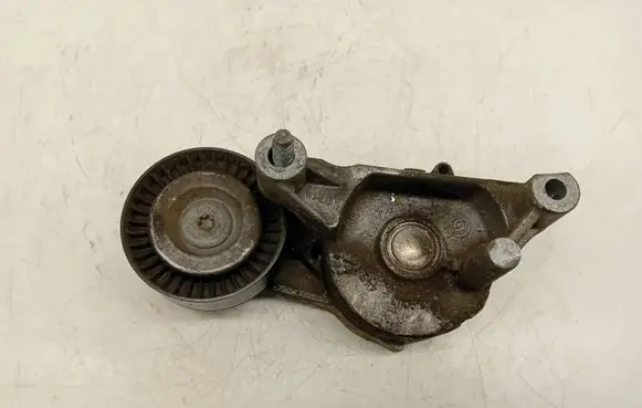 Volkswagen Golf V Generator/alternator belt tensioner 950445