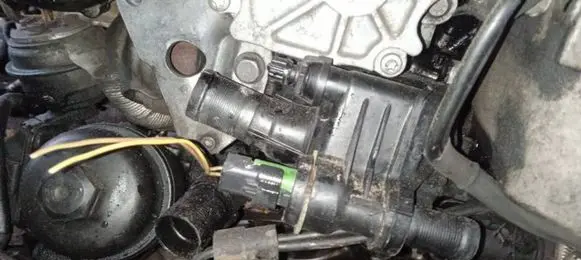 Ford Focus Engine coolant pipe/hose