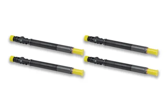 Citroen C3 Fuel injector EJBR01001A 1531073J00000 198091