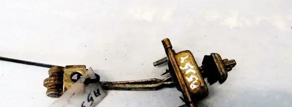 Ford Focus Rear door check strap stopper