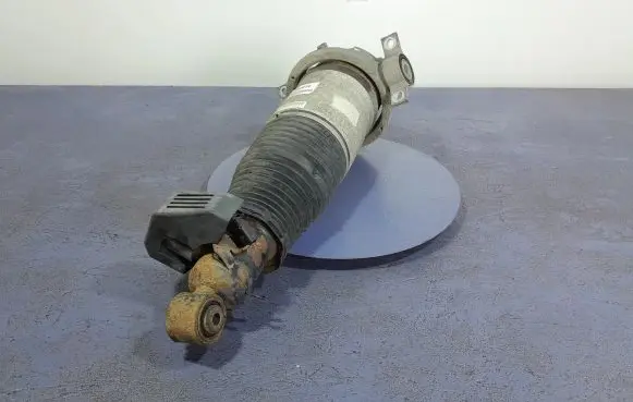 Audi Q7 4L Rear shock absorber/damper 7L8616020C