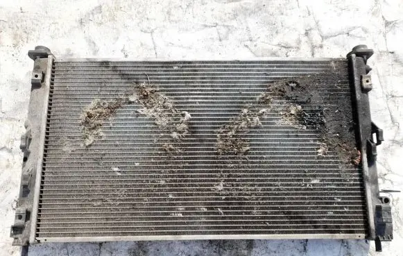Chrysler Sebring (ST-22 - JR) Coolant radiator