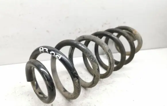 Rear coil spring