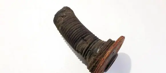 Coil spring mount