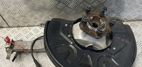 Porsche Taycan 9J1 Rear wheel hub 9J0407246