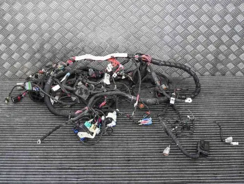Tesla Model S Other wiring loom 112976000A