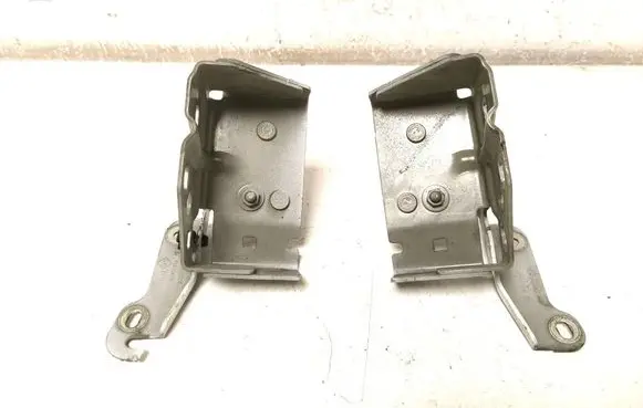 Opel Vivaro Engine bonnet/hood hinges 654010249R