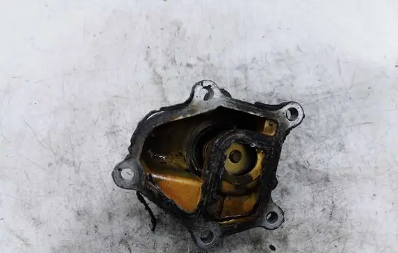 Thermostat/thermostat housing