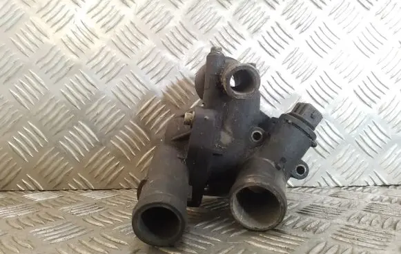 Thermostat/thermostat housing