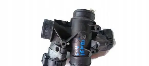 Citroen C4 I Throttle valve