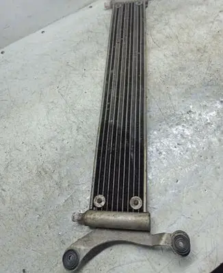 Volkswagen Touareg I Optional radiator 