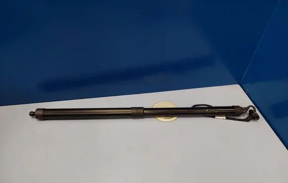 Tailgate/trunk strut/damper