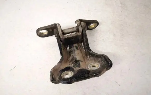 Rear door lower hinge