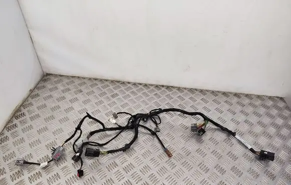 Ford Mustang Mach-E Other wiring loom LJ8T14B562