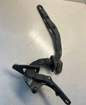 Tailgate/trunk/boot hinge