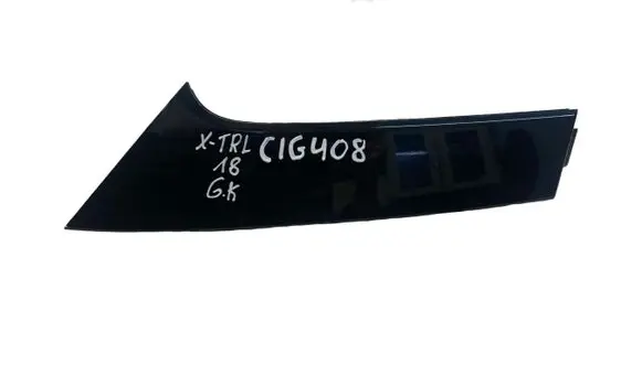 Rear/tail light trim molding