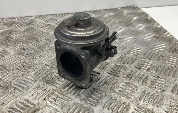 EGR valve