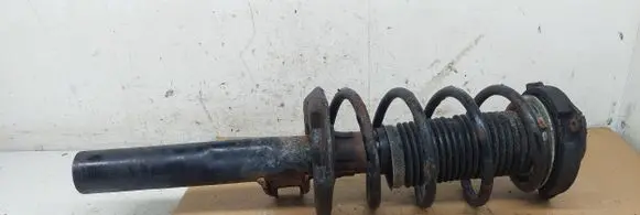 Skoda Octavia Mk2 (1Z) Front shock absorber with coil spring