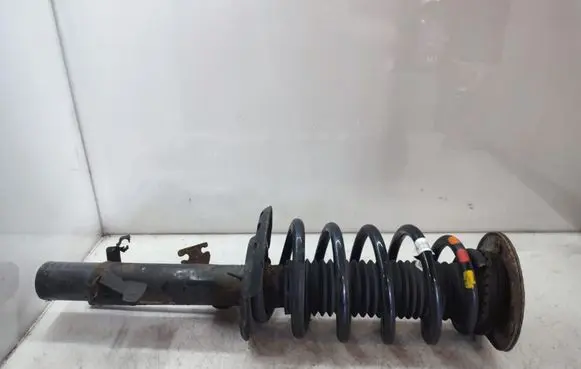 Land Rover Discovery Sport Front shock absorber with coil spring