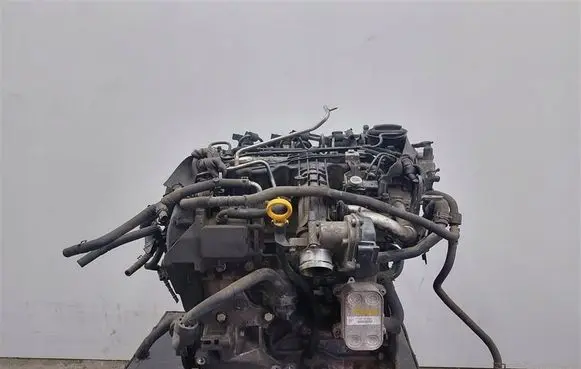 Skoda Rapid (NH) Engine CAY