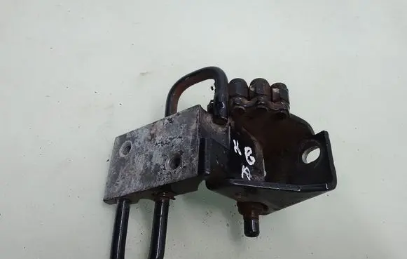 Rear door lower hinge