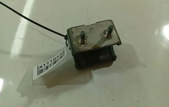 Peugeot 406 Rear door lower hinge 