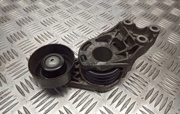 Skoda Fabia Mk1 (6Y) Alternator belt tensioner pulley 