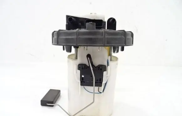 Citroen C3 In-tank fuel pump 9811336680