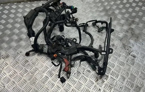 Nissan Juke I F15 Engine installation wiring loom 24011BV86C