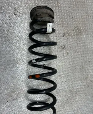 Rear coil spring