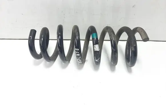 Rear coil spring