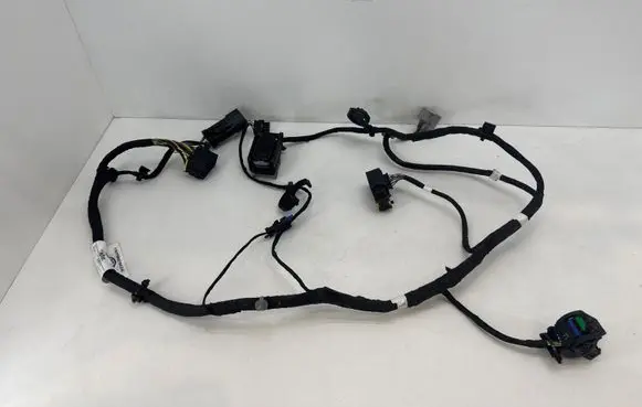 Fisker Ocean Other wiring loom FM2980610435C