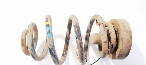 Rear coil spring