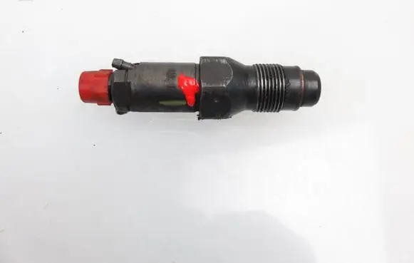 Peugeot 206 Fuel injector 6736001