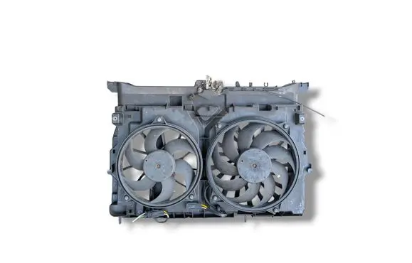 Peugeot Expert Electric radiator cooling fan 1497799080
