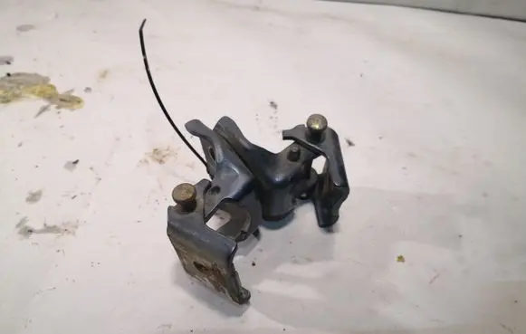 Citroen C4 I Front door hinge set 