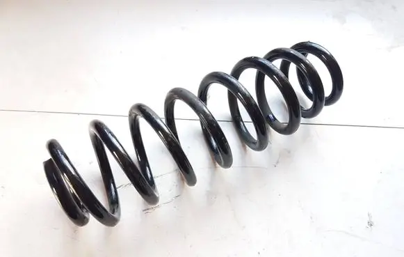 Rear coil spring